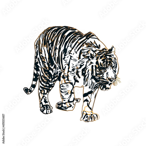 Color sketch of a striped tiger with transparent background © Yuas