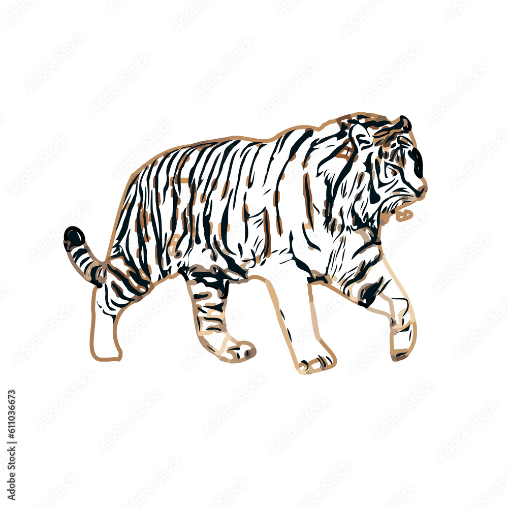Naklejka premium Color sketch of a striped tiger with transparent background