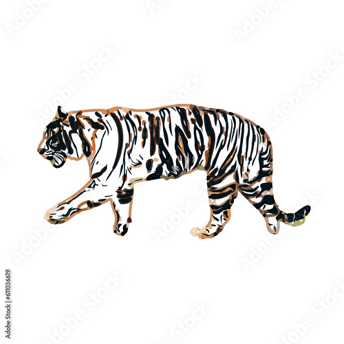 Fototapeta Naklejka Na Ścianę i Meble -  Color sketch of a striped tiger with transparent background