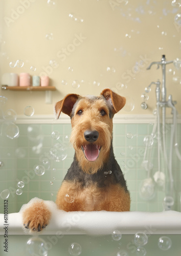 Cute Airedale Terrier dog in a small bathtub with soap foam and bubbles, cute pastel colors.