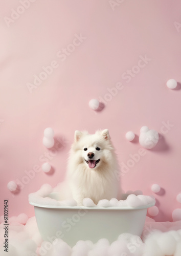 Cute American Eskimo dog in a small bathtub with soap foam and bubbles, cute pastel colors. © Asman