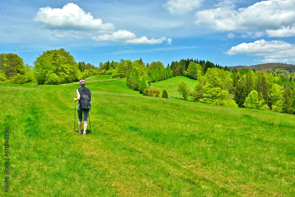 Female tourist with a backpack is hiking on a mountain trail on a summer day. Back view Female tourist with a backpack is hiking on a mountain trail on a summer day. Back view