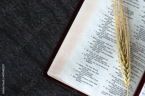 Cuadro en lienzo Golden ripe barley stalk on open holy bible book with dark background