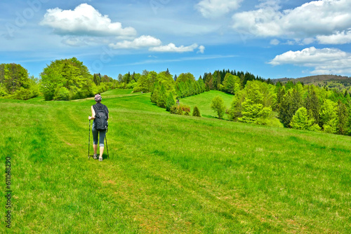 Female tourist with a backpack is hiking on a mountain trail on a summer day. Back view