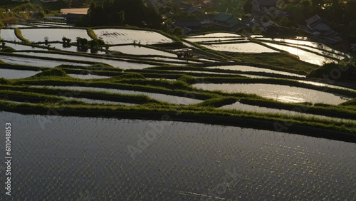 Wallpaper Mural A farming village at dusk, beautiful scenery of rice paddies just before the sun sets Torontodigital.ca