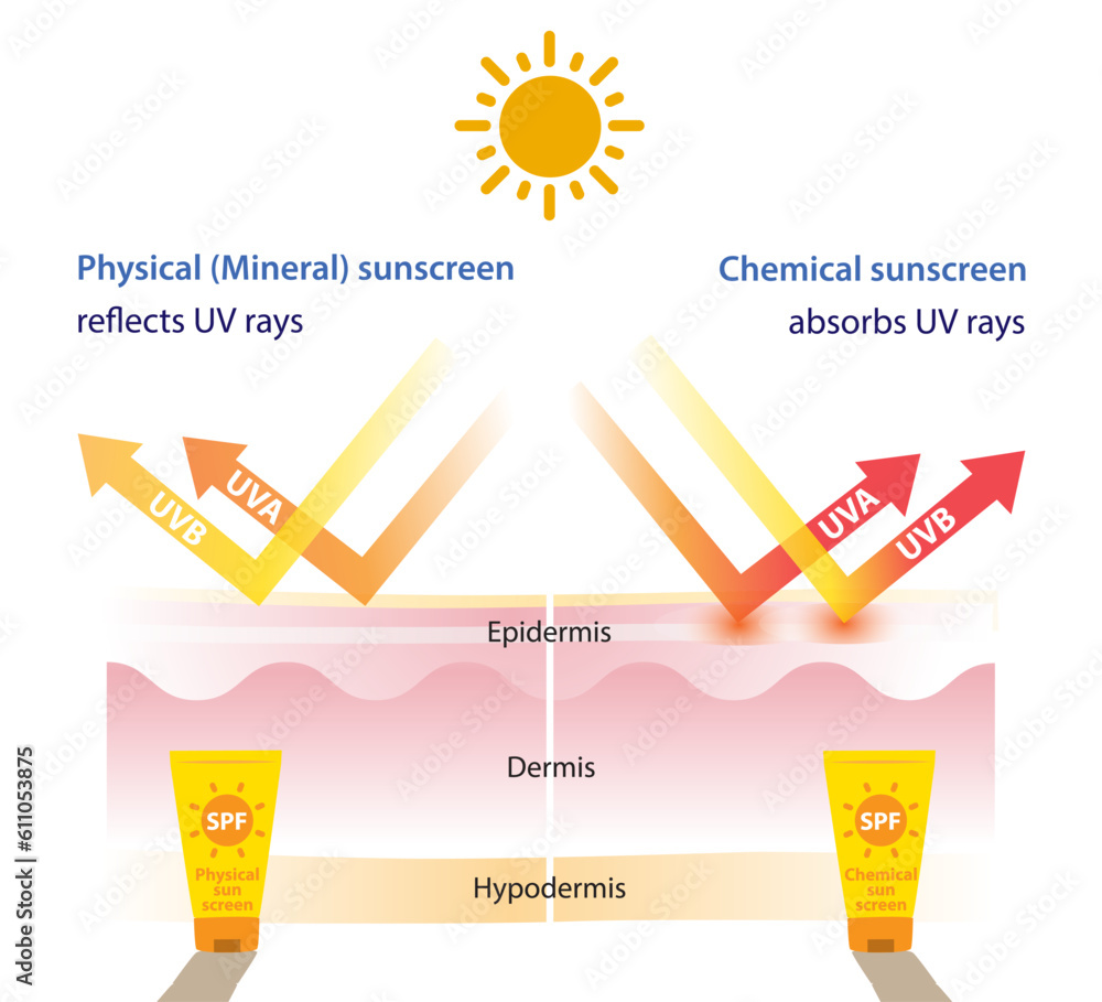Comparison of physical, mineral sunscreen and chemical sunscreen vector