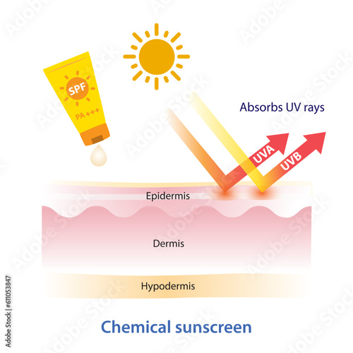 Chemical sunscreen absorbs UV rays vector on white background. How to chemical sunscreen works on layer skin. Skin care and beauty concept illustration.