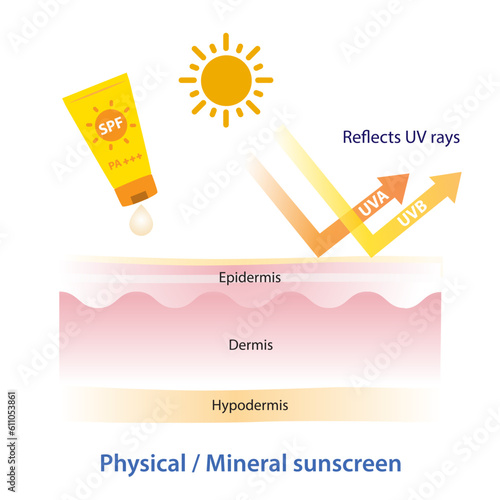 Physical, mineral sunscreen reflects UV rays vector on white background. How to physical, mineral sunscreen works on layer skin. Skin care and beauty concept illustration.