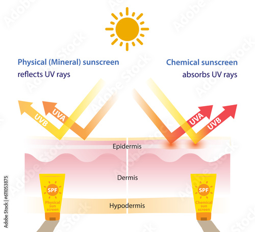 Comparison of physical, mineral sunscreen and chemical sunscreen vector on white background. Infographic of physical, mineral sunscreen reflects UV rays, chemical sunscreen absorbs UV rays.