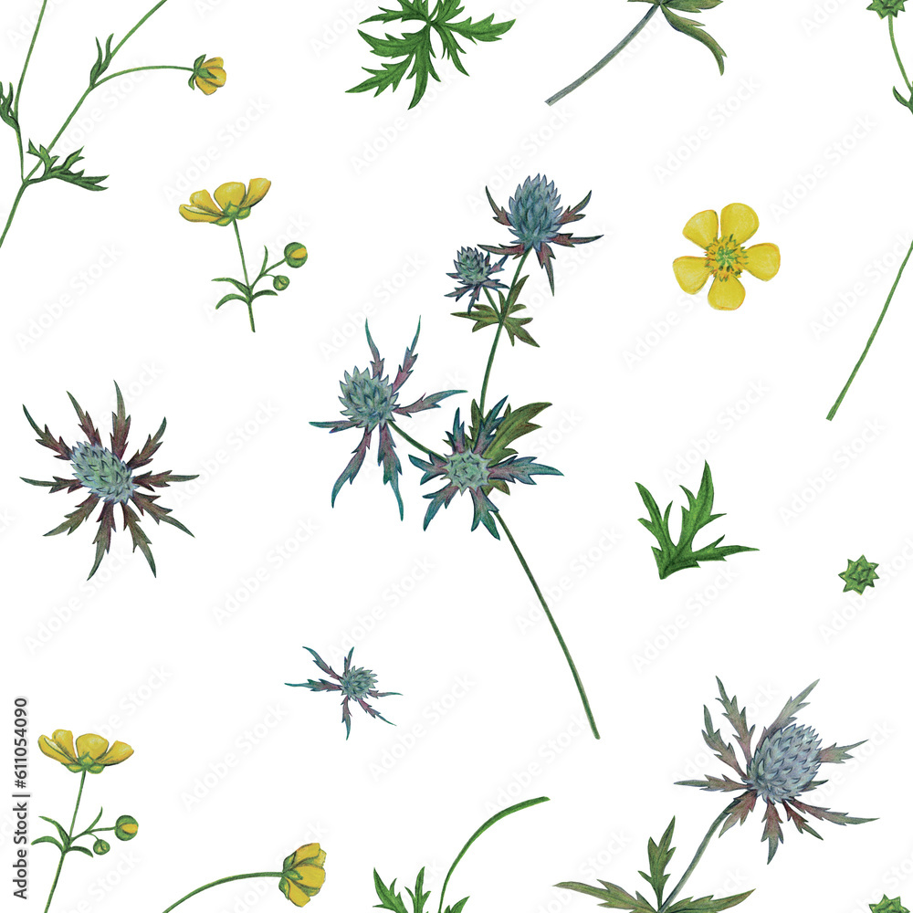 Wildflowers seamless pattern with eryngium, anemone flowers. Hand drawn illustration isolated on white.