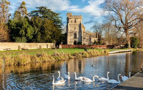 Bright winters day on the Stroudwater Canal, near Stroud Gloucestershire, United Kingdom