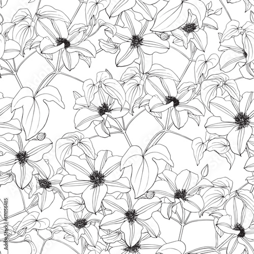 Vector linear flowers clematis with white fill seamless pattern. Hand drawn elements. Elegant floral background for design packaging textile wallpaper fabric