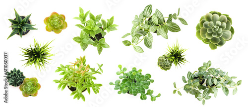 Set of artificial plants on white background, top view