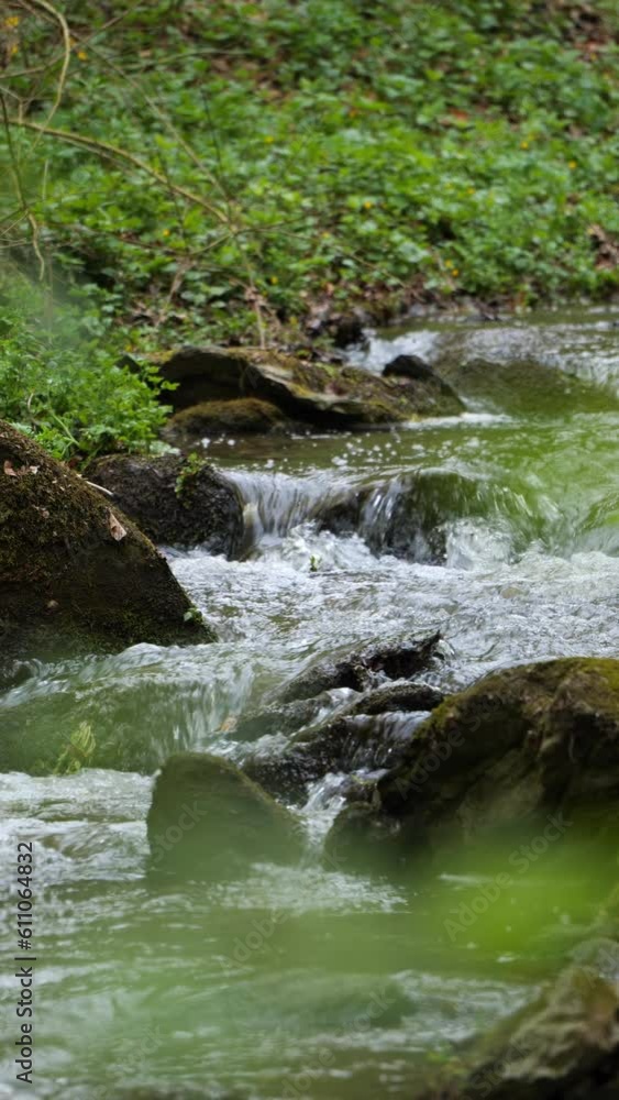 Water Stream in a Forest, handheld vertical video Water Stream in a Forest, handheld vertical video