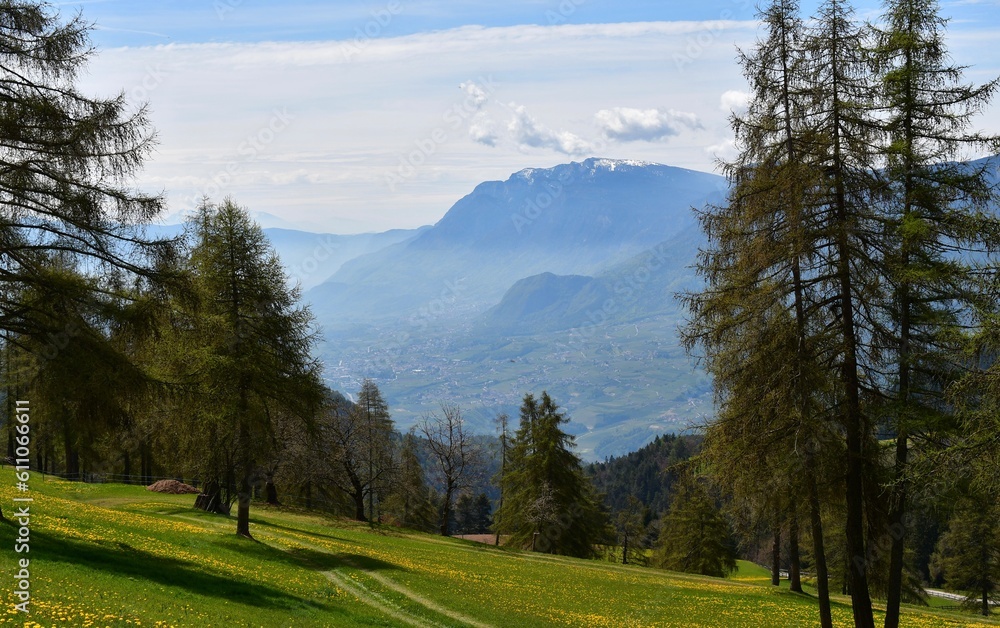 Schöne Landschaft im Frühling auf dem Salten in Südtirol 