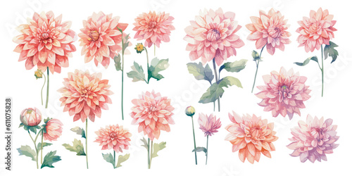 Fototapete watercolor pink dahlia clipart for graphic resources