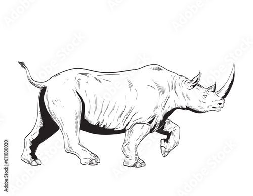 Comics style drawing or illustration of a rhinoceros or rhino, an odd-toed ungulates in the family Rhinocerotidae, charging viewed from side isolated background in black and white retro style.
