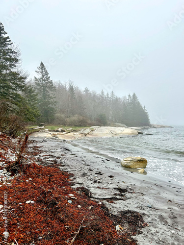 Birch Point State Park in Fog, South Thomaston, Maine photo