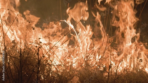 Burning dry grass fire in tropical country