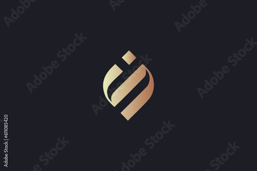 in letter design modern line style creative golden wordmark design typography illustration, ni initials, ni logo design