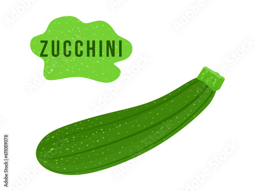 Green Zucchini in flat illustration. Whole fresh Zucchini isolated on white background. Vector illustration 