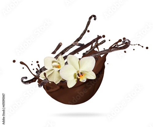 Dried vanilla sticks with flowers in chocolate splashes isolated on white background