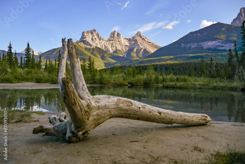 Three Sisters at sunset with driftwood in foreground. Taken near Banff National Park with blue sky background in perfect, background scenery.