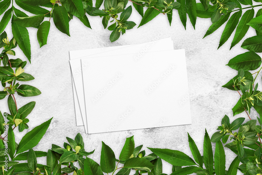 Composition of leaves and white watercolor sheets of paper on gray concrete background. Tree branches with leaves, blank cards. Nature mockup, ecology poster. Top view, flat lay, close up, copy space Composition of leaves and white watercolor sheets of paper on gray concrete background. Tree branches with leaves, blank cards. Nature mockup, ecology poster. Top view, flat lay, close up, copy space