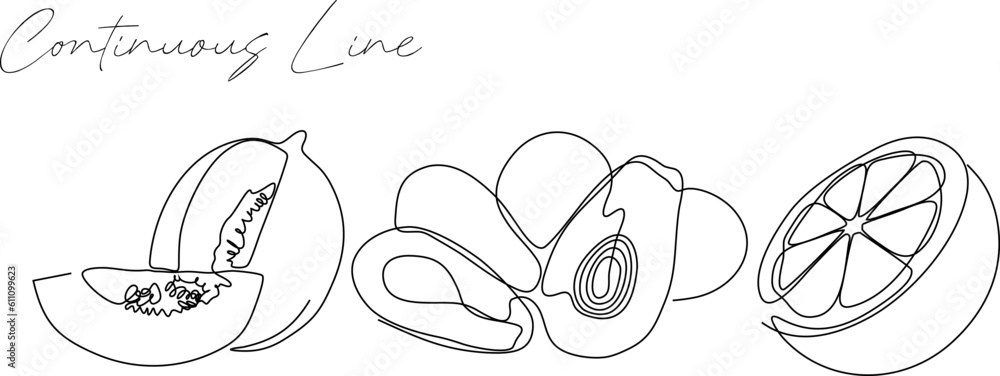 Set of bundles of continuous line drawing of fruits
