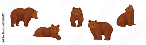 Large Brown Bear in Different Pose Vector Set