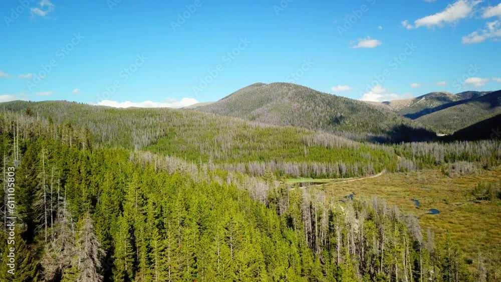 Aerial Panning Shot Of Tall Trees On Mountain At Woodland Against Sky On Sunny Day - Billings, Montana Aerial Panning Shot Of Tall Trees On Mountain At Woodland Against Sky On Sunny Day - Billings, Montana