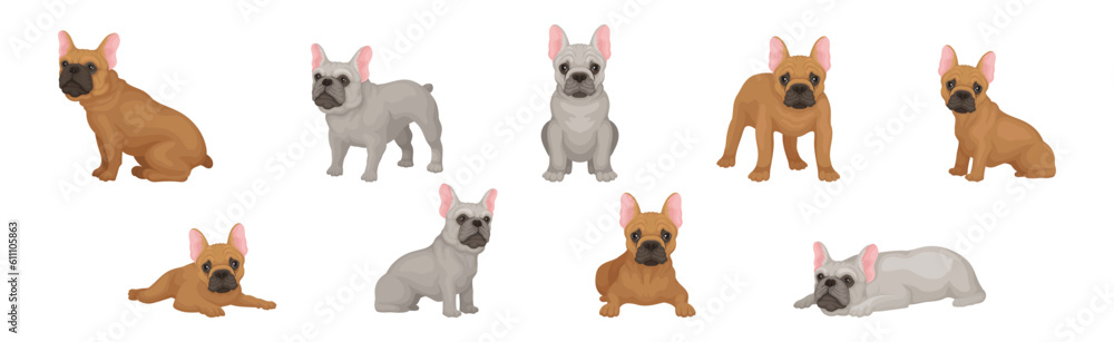 French Bulldog Breed in Different Poses Vector Set French Bulldog Breed in Different Poses Vector Set