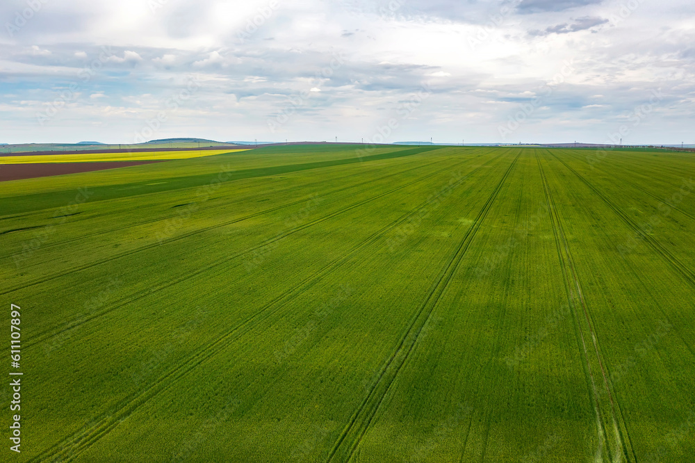 Obraz premium Aerial landscape of young green wheat and cloudy sky