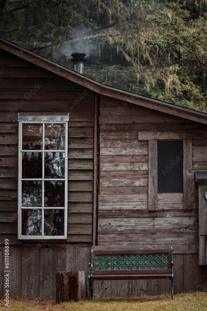 Cozy cabin in the woods getaway Cozy cabin in the woods getaway