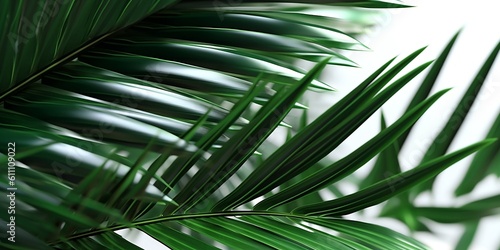 Beautiful splash with palm leaves with a white background. Created with generative AI tools 