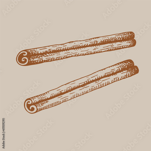Cinnamon sticks, bark hand drawn. Brown spice. Rolled cinnamons. Spicy seasoning, condiment. Aromatic ingredient for cooking, backing. Vintage  illustration, design element photo