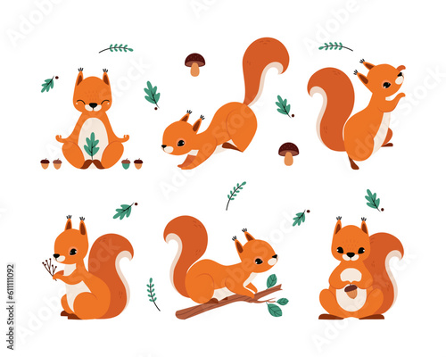 Fototapeta Naklejka Na Ścianę i Meble -  Cute Red Squirrel with Bushy Tail Vector Illustration Set
