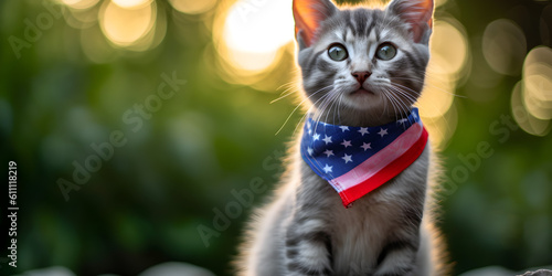 Patriotic Kitten Celebrating 4th of July