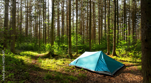 forest camping summer