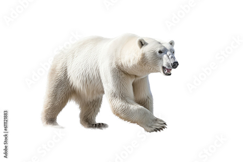  a majestic Polar bear in motion full body image,  Wildlife-themed, photorealistic illustrations in a PNG, cutout, and isolated. Generative AI
