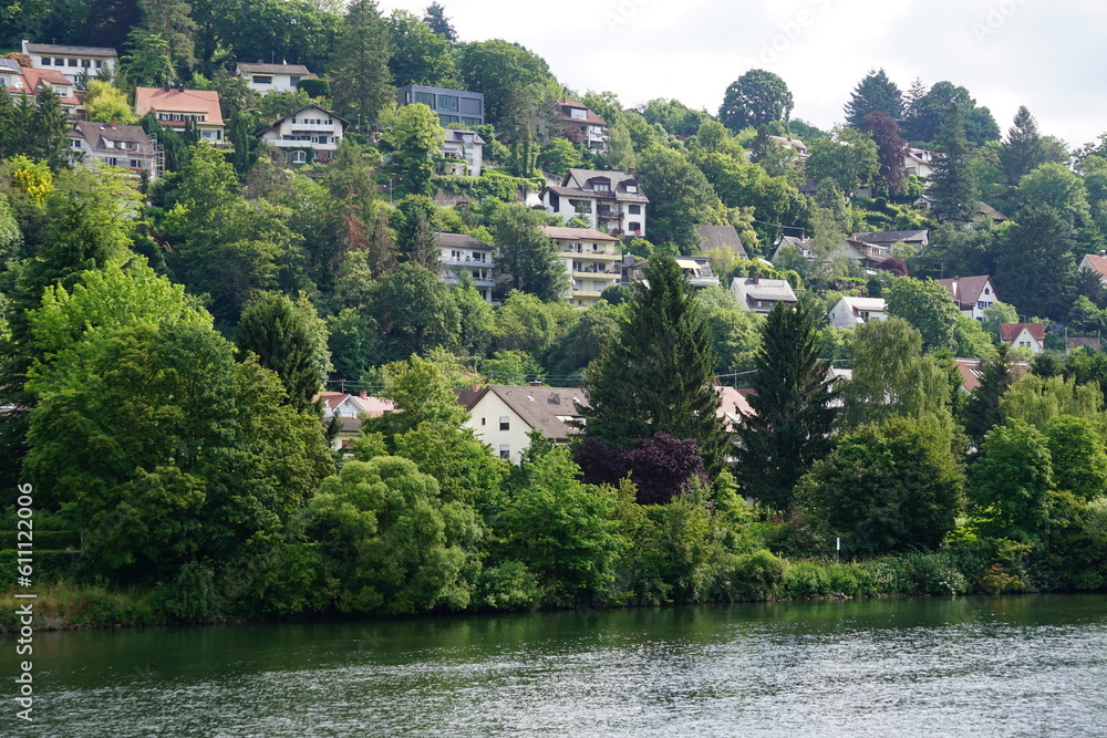 Häuser entlang dem Neckar auf dem Hang 
