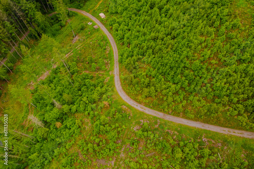 A curvy path through the green meadow