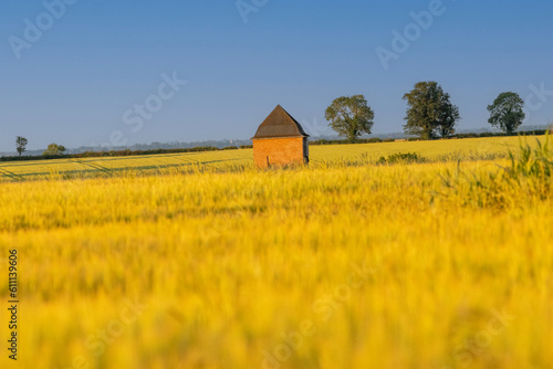 tower in field