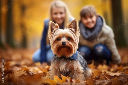 Lifestyle portrait photography of a cute yorkshire terrier posing with a family against an autumn foliage background. With generative AI technology © Markus Schröder