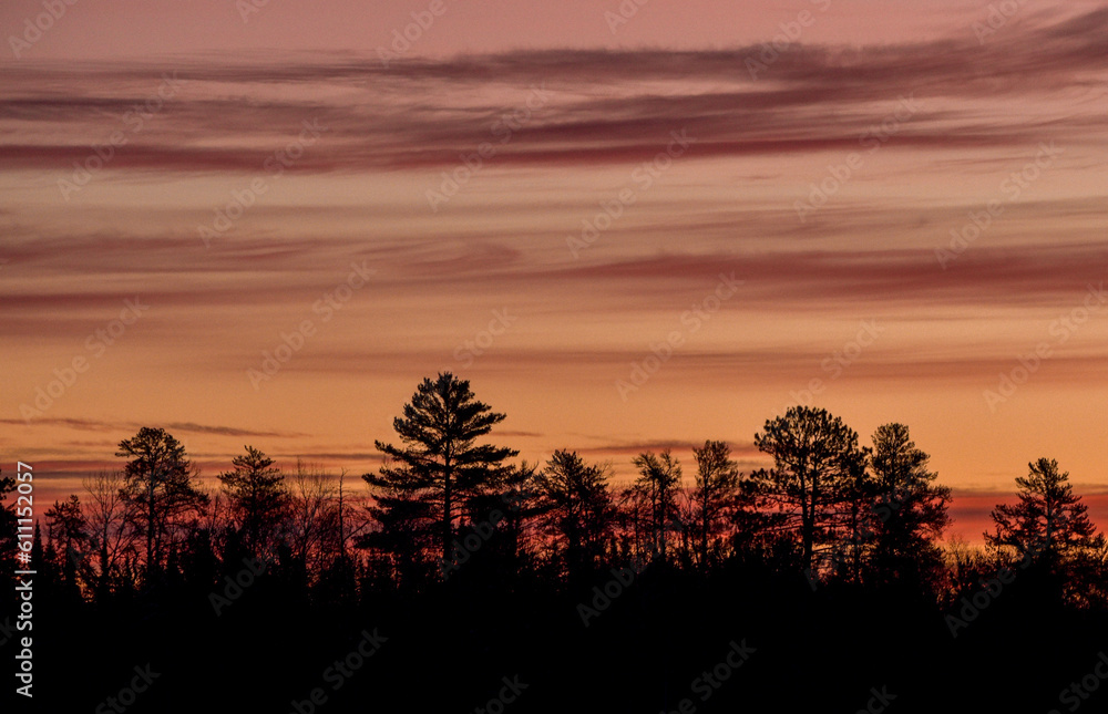 sunset over the field