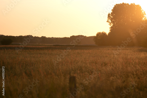 Landschaft im Abendlicht