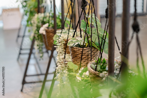 Mehrere Hängepflanzen als Dekoration auf Ständern