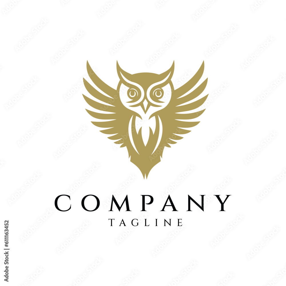 Obraz premium Owl logo design vector illustration