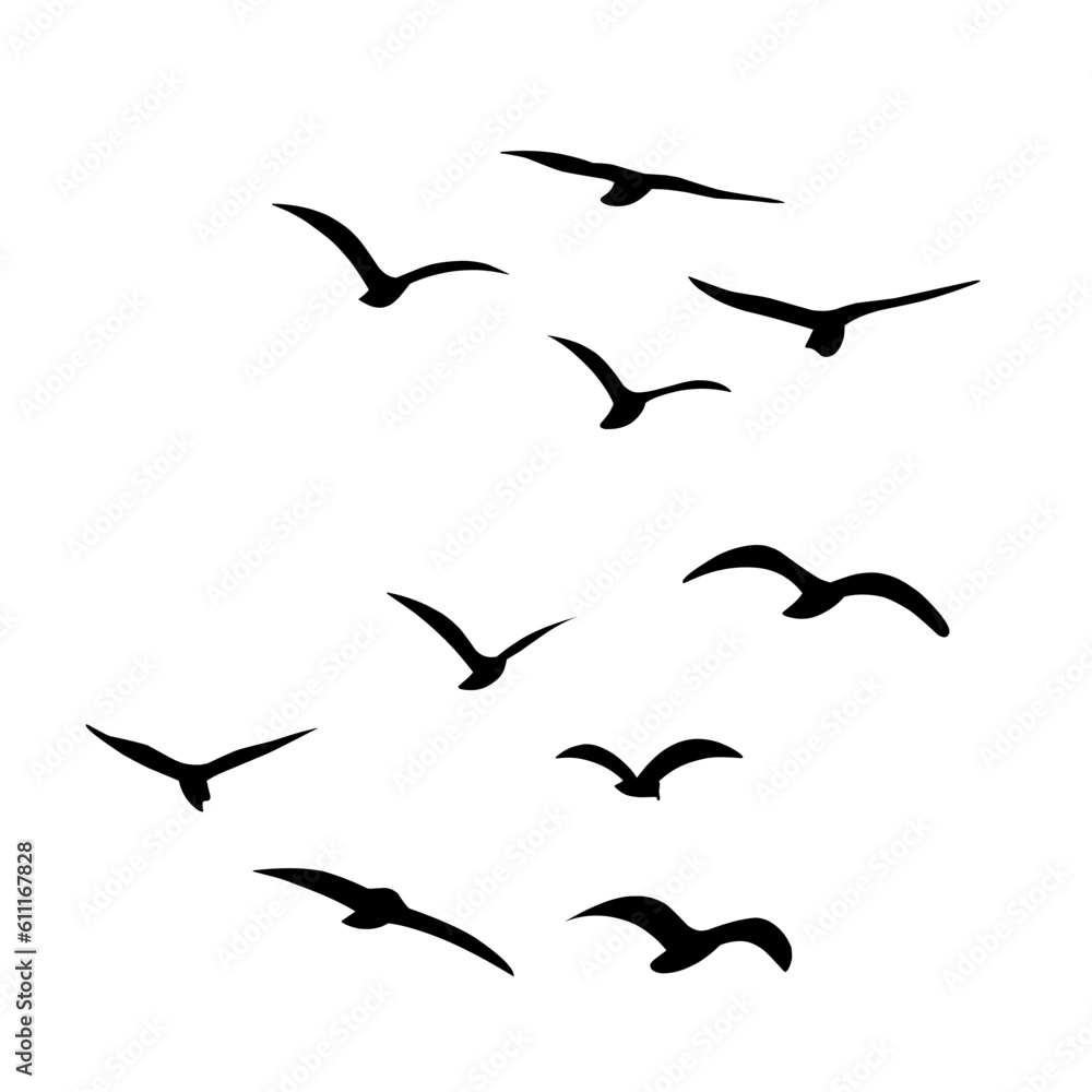 Silhouette of flying birds Silhouette of flying birds