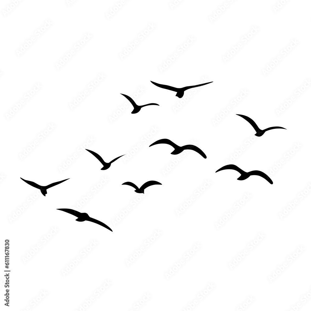 Fototapeta premium Silhouette of flying birds